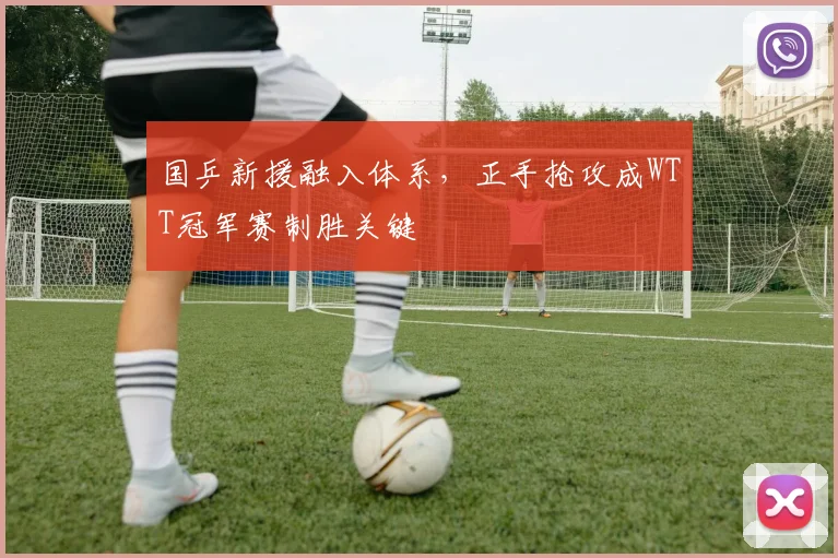 国乒新援融入体系，正手抢攻成WTT冠军赛制胜关键