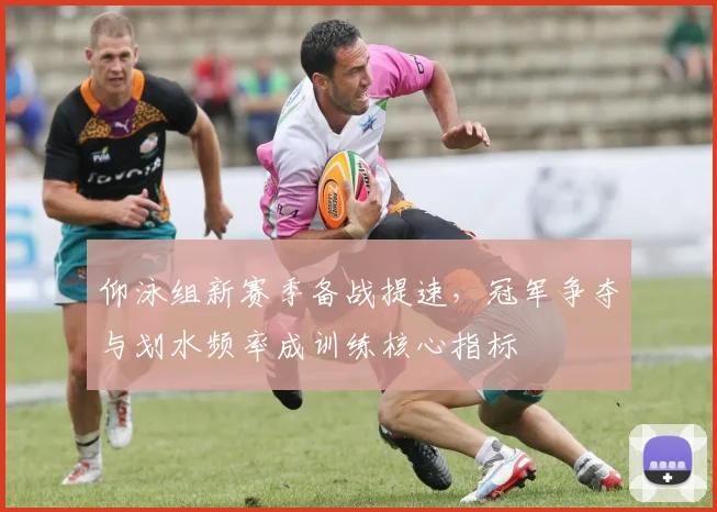 仰泳组新赛季备战提速，冠军争夺与划水频率成训练核心指标