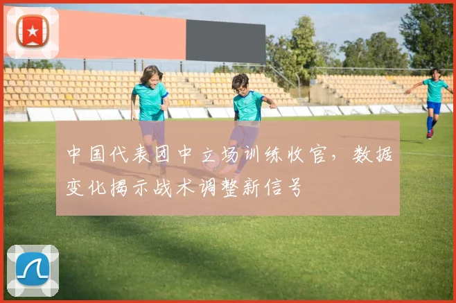中国代表团中立场训练收官，数据变化揭示战术调整新信号